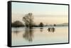 A Solitary Gate in Calm Flood-Waters in Farmland on West Sedgemoor, Near Stoke St Gregory-John Waters-Framed Stretched Canvas