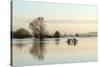 A Solitary Gate in Calm Flood-Waters in Farmland on West Sedgemoor, Near Stoke St Gregory-John Waters-Stretched Canvas
