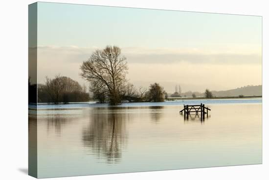 A Solitary Gate in Calm Flood-Waters in Farmland on West Sedgemoor, Near Stoke St Gregory-John Waters-Stretched Canvas