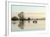 A Solitary Gate in Calm Flood-Waters in Farmland on West Sedgemoor, Near Stoke St Gregory-John Waters-Framed Photographic Print