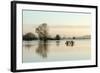 A Solitary Gate in Calm Flood-Waters in Farmland on West Sedgemoor, Near Stoke St Gregory-John Waters-Framed Photographic Print