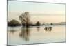 A Solitary Gate in Calm Flood-Waters in Farmland on West Sedgemoor, Near Stoke St Gregory-John Waters-Mounted Photographic Print