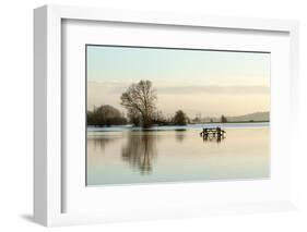 A Solitary Gate in Calm Flood-Waters in Farmland on West Sedgemoor, Near Stoke St Gregory-John Waters-Framed Photographic Print