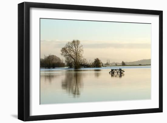 A Solitary Gate in Calm Flood-Waters in Farmland on West Sedgemoor, Near Stoke St Gregory-John Waters-Framed Photographic Print