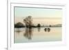 A Solitary Gate in Calm Flood-Waters in Farmland on West Sedgemoor, Near Stoke St Gregory-John Waters-Framed Photographic Print