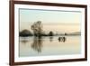 A Solitary Gate in Calm Flood-Waters in Farmland on West Sedgemoor, Near Stoke St Gregory-John Waters-Framed Photographic Print