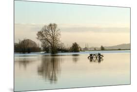 A Solitary Gate in Calm Flood-Waters in Farmland on West Sedgemoor, Near Stoke St Gregory-John Waters-Mounted Photographic Print