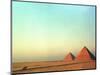 A Solitary Horse Carriage Heads Back Home as the Sun Goes Down Over the Giza Pyramids-null-Mounted Photographic Print