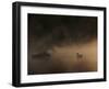 A Solitary Mute Swan, Cygnus Olor, Swimming in a Pond-Alex Saberi-Framed Premium Photographic Print