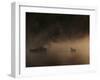 A Solitary Mute Swan, Cygnus Olor, Swimming in a Pond-Alex Saberi-Framed Premium Photographic Print