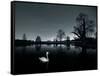 A Solitary Mute Swan, Cygnus Olor, Swimming in a Pond-Alex Saberi-Framed Stretched Canvas