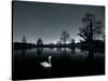 A Solitary Mute Swan, Cygnus Olor, Swimming in a Pond-Alex Saberi-Stretched Canvas