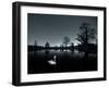 A Solitary Mute Swan, Cygnus Olor, Swimming in a Pond-Alex Saberi-Framed Premium Photographic Print