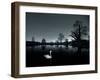 A Solitary Mute Swan, Cygnus Olor, Swimming in a Pond-Alex Saberi-Framed Photographic Print