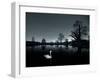 A Solitary Mute Swan, Cygnus Olor, Swimming in a Pond-Alex Saberi-Framed Photographic Print