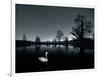 A Solitary Mute Swan, Cygnus Olor, Swimming in a Pond-Alex Saberi-Framed Photographic Print