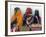 A Somali Woman in Hargeisa, Somalia-null-Framed Photographic Print