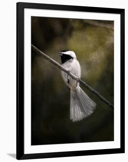 A Song in Your Heart Chickadee-Jai Johnson-Framed Giclee Print