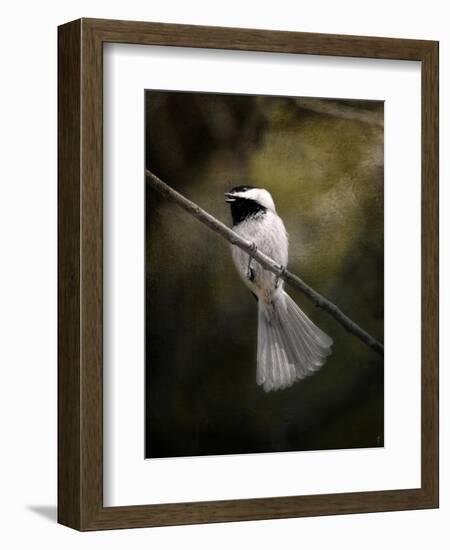 A Song in Your Heart Chickadee-Jai Johnson-Framed Giclee Print