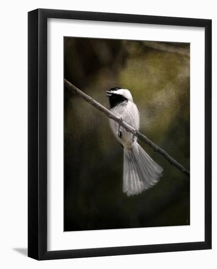 A Song in Your Heart Chickadee-Jai Johnson-Framed Giclee Print