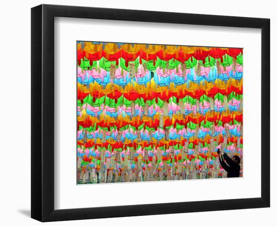 A South Korean Worker Decorates Lanterns to Celebrate Buddha's Upcoming Birthday-null-Framed Photographic Print