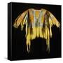 A Southern Cheyenne Quilled and Fringed Hide Warrior's Shirt-null-Framed Stretched Canvas