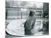 A Southern Elephant Seal at London Zoo, January 1912-Frederick William Bond-Mounted Photographic Print