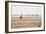 A Southern Giraffe, Giraffa Camelopardalis Giraffe, Stands on a Baking Salt Pan-Alex Saberi-Framed Photographic Print