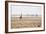 A Southern Giraffe, Giraffa Camelopardalis Giraffe, Stands on a Baking Salt Pan-Alex Saberi-Framed Photographic Print