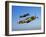 A Soviet Yakovlev Yak-3 and a P-51A Mustang in Flight-Stocktrek Images-Framed Photographic Print