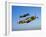 A Soviet Yakovlev Yak-3 and a P-51A Mustang in Flight-Stocktrek Images-Framed Photographic Print