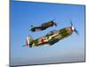 A Soviet Yakovlev Yak-3 and a P-51A Mustang in Flight-Stocktrek Images-Mounted Photographic Print