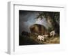 A Sow and Her Four Piglets in a Wooded Landscape-Henry Thomas Alken-Framed Giclee Print