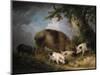 A Sow and Her Four Piglets in a Wooded Landscape-Henry Thomas Alken-Mounted Giclee Print