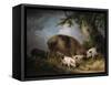 A Sow and Her Four Piglets in a Wooded Landscape-Henry Thomas Alken-Framed Stretched Canvas