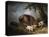 A Sow and Her Four Piglets in a Wooded Landscape-Henry Thomas Alken-Stretched Canvas