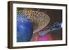 A Spacecraft Passes by a Blue Planet with a Ring of Asteroids-null-Framed Art Print