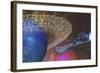 A Spacecraft Passes by a Blue Planet with a Ring of Asteroids-null-Framed Art Print