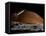 A Spaceship in Orbit over Mars Moon, Phobos, with the Red Planet Mars in the Background-null-Framed Stretched Canvas