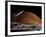 A Spaceship in Orbit over Mars Moon, Phobos, with the Red Planet Mars in the Background-null-Framed Photographic Print