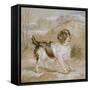 A Spaniel, 1822 (Opaque W/C over Graphite on Buff Wove Paper)-Edwin Landseer-Framed Stretched Canvas