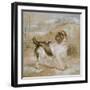 A Spaniel, 1822 (Opaque W/C over Graphite on Buff Wove Paper)-Edwin Landseer-Framed Giclee Print