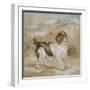 A Spaniel, 1822 (Opaque W/C over Graphite on Buff Wove Paper)-Edwin Landseer-Framed Giclee Print