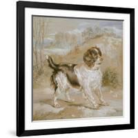 A Spaniel, 1822 (Opaque W/C over Graphite on Buff Wove Paper)-Edwin Landseer-Framed Giclee Print