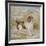 A Spaniel, 1822 (Opaque W/C over Graphite on Buff Wove Paper)-Edwin Landseer-Framed Giclee Print