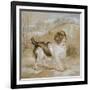 A Spaniel, 1822 (Opaque W/C over Graphite on Buff Wove Paper)-Edwin Landseer-Framed Giclee Print