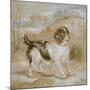 A Spaniel, 1822 (Opaque W/C over Graphite on Buff Wove Paper)-Edwin Landseer-Mounted Giclee Print
