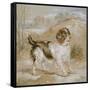 A Spaniel, 1822 (Opaque W/C over Graphite on Buff Wove Paper)-Edwin Landseer-Framed Stretched Canvas