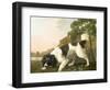 A Spaniel in a Landscape, 1771-George Stubbs-Framed Giclee Print