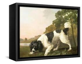 A Spaniel in a Landscape, 1771-George Stubbs-Framed Stretched Canvas